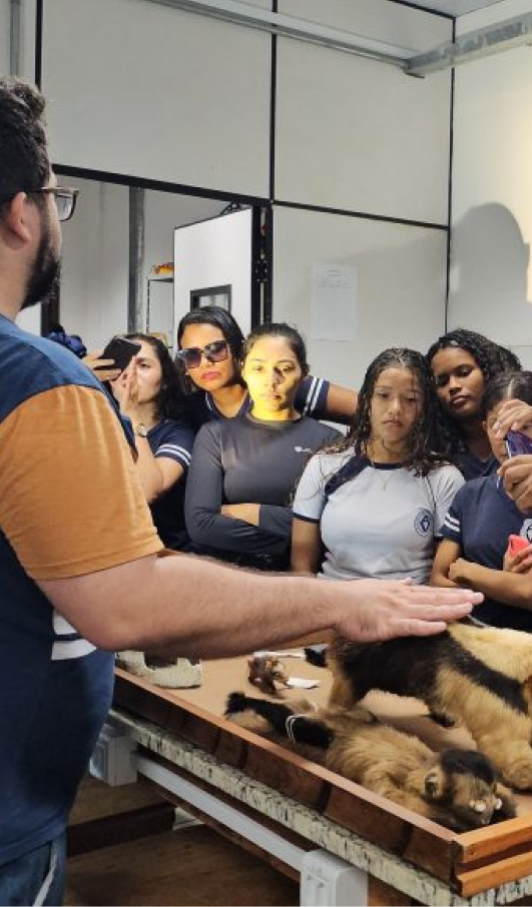 UFPA de Impacto - Imagem 6
