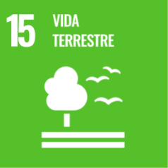 ODS 15 - Vida Terrestre