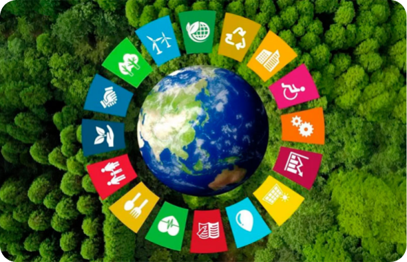 O que é o UFPA de Impacto